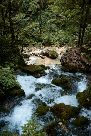 a waterfall makes its way through stones in forest, green trees and rocks, clear mountain water flows from above, mountain riverの写真素材