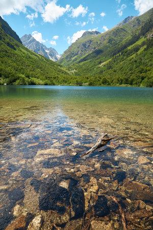 mountain lake with clear water, in distance mountains and slopes, green trees, in water stones and branches at bottom of riverの写真素材