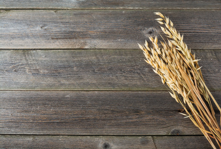 Ears of oat on old wooden background. Selective focus.の写真素材