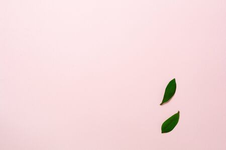 Tropical palm leaf frame on pink background with copy space. Flat lay. Top view. Summer or spring...