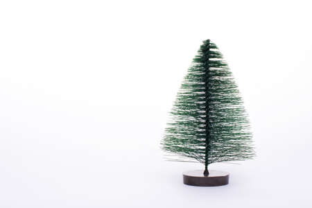 One tiny Christmas trees isolated on white.
