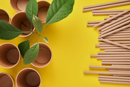 Drinking tubes made of paper and cornstarch, biodegradable material and eco paper glasses with green sprout leaves on yellow trend color 2021 background. Zero waste and plastic free concept. Top view.の写真素材