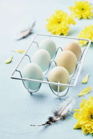 Eggs in white metal holder and flowers on blue background. Mock up. Spring Happy Easter holiday...