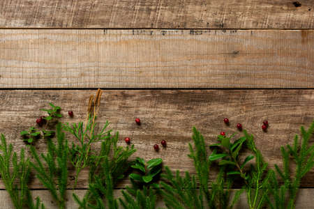 Chanterelles and forest moss on a wooden old background. Mock up. Top view.の写真素材