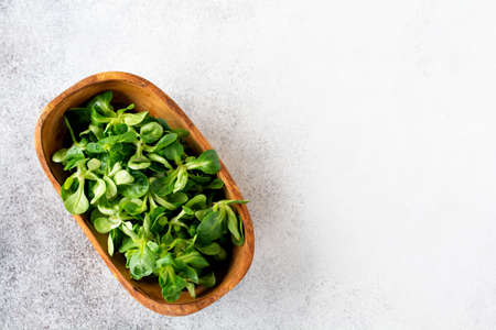 Cress salad Fresh raw in wooden olive bowl on a light stone background. Selective focus. Top view. Place for textの写真素材