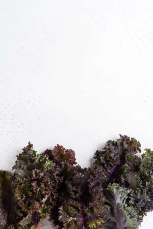 Kale leaves fresh green curly on a cutting board on a light gray slate, stone or concrete background. Selective focus. Healthy vegetarian food.の写真素材