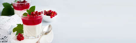 Panna cotta with red currant jelly in vintage glasswith leaves of mint and berries on gray stone or concrete background. Traditional Italian dessert. Selective focus.の写真素材