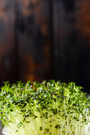 Microgreen pea sprouts on old wooden table. Vintage style. Vegan and healthy eating concept. Growing...