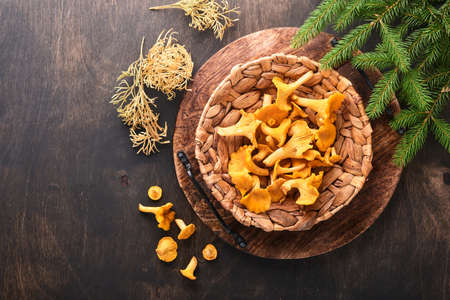 Forest Mushrooms chanterelles and forest moss on a wooden old background. Raw uncooked in rattan plate bowl over brown texture background. Mock up. Top view.の写真素材