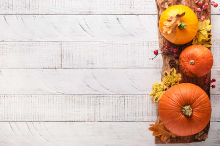 Decor from pumpkins, berries and leaves on white rustic wooden background. Concept of Thanksgiving day or Halloween. Top view festive autumn composition with copy space.の写真素材
