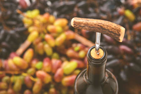 Bottle wine with corkscrew. Opening a wine bottle with a corkscrew in a restaurant. Wine composition on dark rustic background with copy space. Mock up.の写真素材