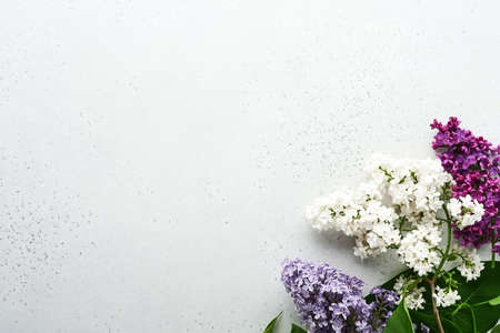 Bouquet of beautiful white and purple lilac on gray background. Top view. Festive greeting card with peony for weddings, happy womens day Valentines and Mothers day.の写真素材