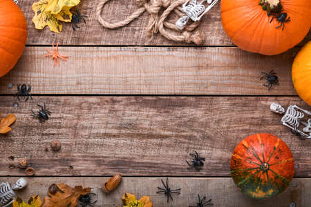 Pumpkin. Autumn food background with cinnamon, nuts and seasonal spices on rustic background. Cooking pumpkin or apple pie and cookies for Thanksgiving and autumn holidays. Top view with copy space.の写真素材