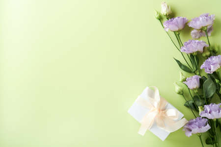 Festive flower composition purple color and white gift box with white ribbon on light green background. flowers frame. overhead view. Top view with copy space.の写真素材