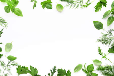 fresh green herbs. Frame of fresh basil, dill, sage, parsley, arugula on white background. Health food. top view. Mock up. copyspace.の写真素材