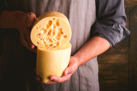 Hands of man hold two big slices of cheese maasdam against background of old wooden wall in cheese...