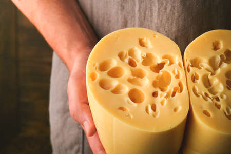 Hands of man hold two big slices of cheese maasdam against background of old wooden wall in cheese factory. Cheesemaker hold cheese maasdam in hand. Free space for your text.の写真素材
