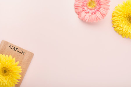 March 8. International Women's Day. Two gerberas pink and yellow, pink envelope on pink background. copyspace. Mock up. flower concept. design pattern. 8 march holiday.の写真素材