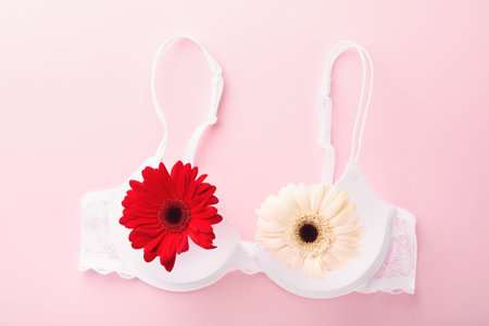 Breast Cancer Awareness Ribbon. White and red bra, gerberas with pink ribbon tape lying on female bra on backgrounds. Breast cancer awareness and October Pink day, world cancer day. top view. Mock upの写真素材