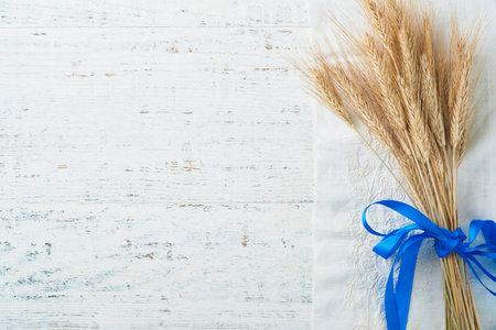 Shavuot jewish holiday celebration. Bouquet of golden ripe wheat with blue ribbon. White wood board table with field of wheat. Background for Shavuot celebration. top view. Mock up.の写真素材