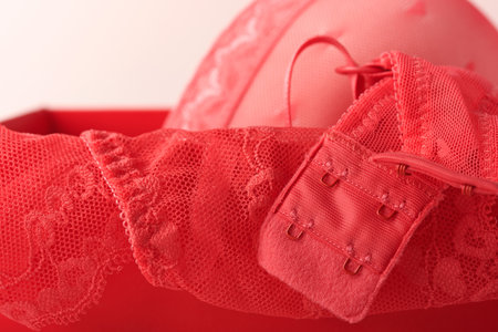 Red sexy bra and panties in box on pink background. Women sexy underwear set with roses and perfume. Gift Idea for Womens Day or Valentines day with copy space. Surprise for men or for him. top view.の写真素材