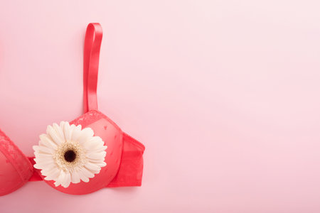 Breast Cancer Awareness Ribbon. White and red bra, gerberas with pink ribbon tape lying on female bra on backgrounds. Breast cancer awareness and October Pink day, world cancer day. top view. Mock upの写真素材