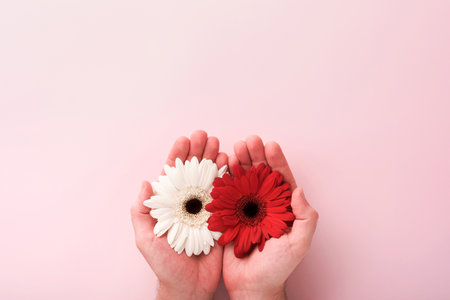 Pink Breast Cancer Awareness Ribbon. Hands holding red gerbera and pink ribbon on backgrounds. Breast cancer awareness and October Pink day, world cancer day. top view. Mock up.の写真素材