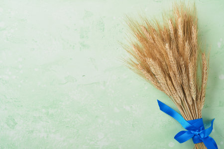 Shavuot jewish holiday celebration. Bouquet of golden ripe wheat with blue ribbon. White wood board table with field of wheat. Background for Shavuot celebration. top view. Mock up.の写真素材