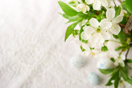 Blooming white apple or cherry blossom. Happy Passover background. Spring Easter background of macro...