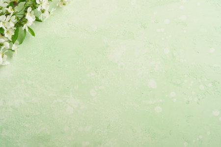 Passover blooming white apple or cherry blossom on green background. Happy Passover background. Spring Easter background. World environment day. Easter, Birthday, women's day holiday. Top view Mock up.の写真素材