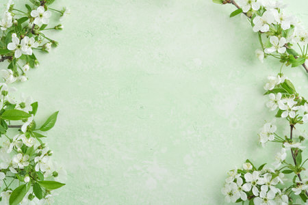 Spring Easter background. Passover blooming white apple or cherry blossom on green background. Happy...