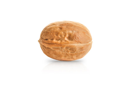 Walnut single isolated on white background with clipping path. Design element.