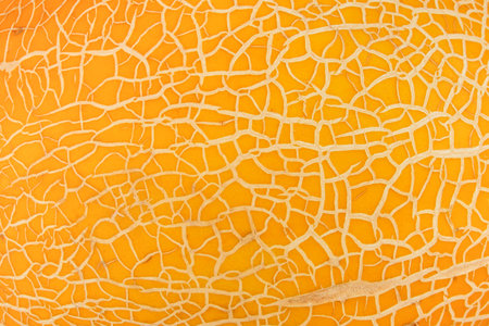 Melon rind, peel or skin with cracks yellow background texture. Top view. Close up.の写真素材