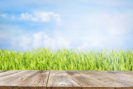 Wooden empty table with green grass or meadow with blue sky in background. Empty wooden background with copy space.の写真素材