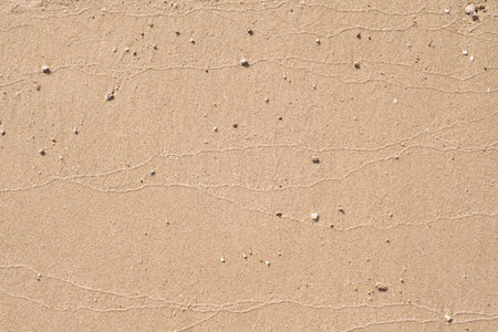 Beach sand background. Close up of abstract tropical beach sand texture background. Natural sand...