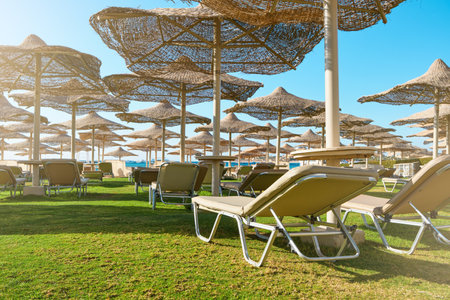 Beach umbrellas parasol and sunbeds standing on seashore against backdrop on green grass of sunny blue sky. Vacation and Travel Concept.の写真素材