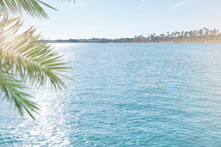 Summer sea and seascape with palm branches, sun and clouds in foreground with empty space for text. Defocus background. Blurred travel and vacation backdrop. Abstract summer background design elementの写真素材