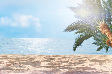 Summer panoramic landscape. Tropic beach with golden sand, palm trees, sea water against blue sky with white clouds on sunny summer day. Copy space, summer vacation concept.の写真素材