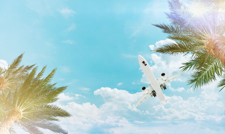 Airplane, beach umbrellas parasol made of coconut leaf and palm branches against backdrop of blue sunny sky with glare. View from bottom to top. Travel, summer vacation destination to relax concept.の写真素材