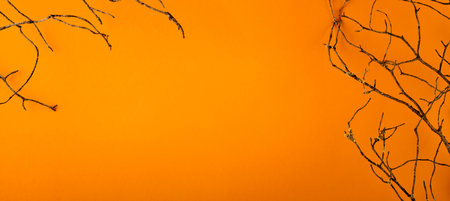 Halloween flat lay composition. Halloween decorations old branches from scary forest on orange background. Halloween party greeting card mockup with copy space. Banner design.の写真素材