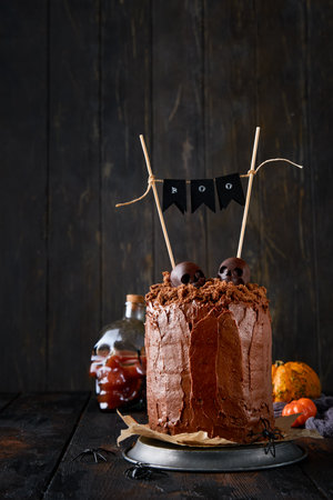 Spooky and funny chocolate cake layered brownie with earthy crumbs with dark and white chocolate sculls, old bare branches and dry fallen leaves. Sweet funny idea for Halloween party, copy space.の写真素材