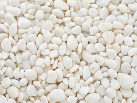 White pebbles stone for background. Natural texture background. Design element.の写真素材