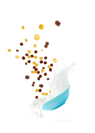 Cocoa and vanilla cereal corn ball falling into blue bowl with splashing milk isolated in white...