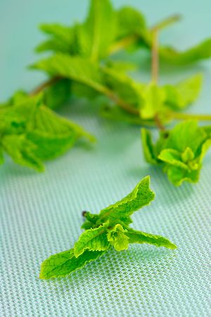 Fresh mint on a table