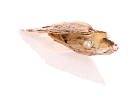 Pearl inside an oyster shell
