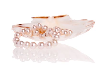 Pearls necklace inside scallop shellの写真素材