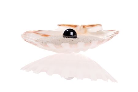 Black Pearl in a scallop shellの写真素材