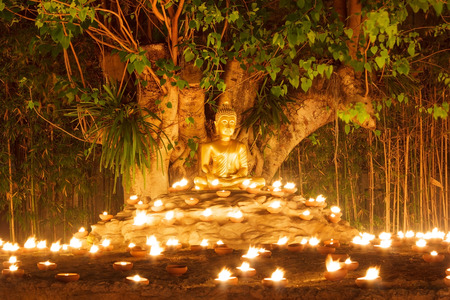 Buddha statue in Phantao temple,Chiang Mai Thailandの写真素材