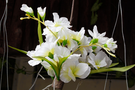 artificial flowers of white orchidの写真素材