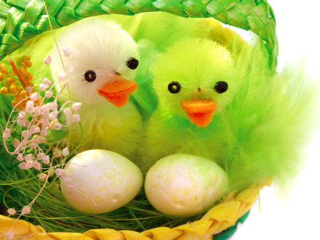 Two ducks in the Easter basket.